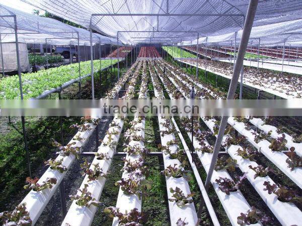hydroponic NFT growing system greenhouse