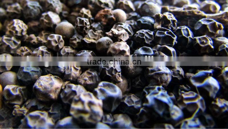 Pure Black Pepper Oil | Natural Black Pepper Oil For Export Only