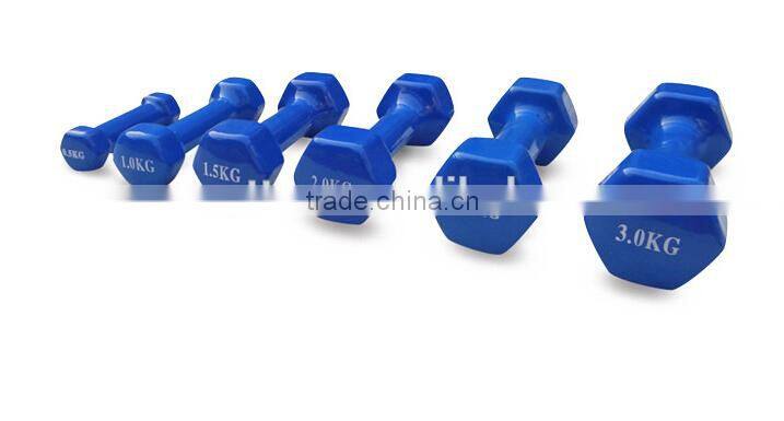 Exercise Equipment Cast Iron Neoprene Dumbbell for Women