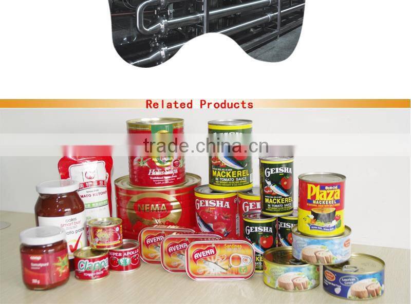 OEM delicious 28-30 70g Xinjiang tomato paste 70gX50tins