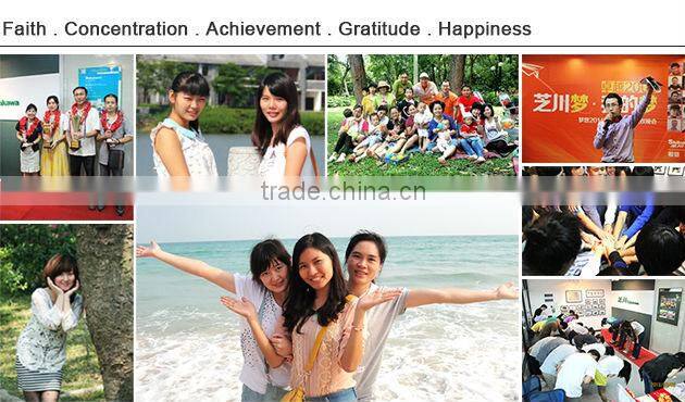 priport ricoh ink HQ40 compatible ink for printing