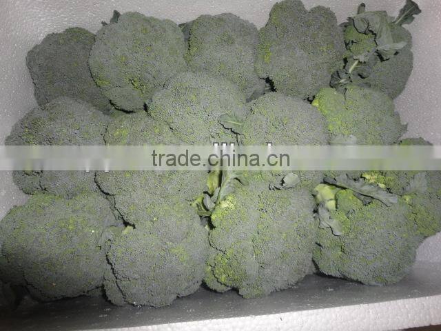 Chinese Fresh Green Broccoli