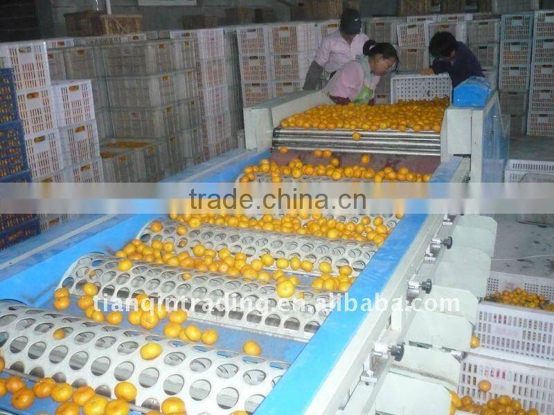 fresh chinese mandarin