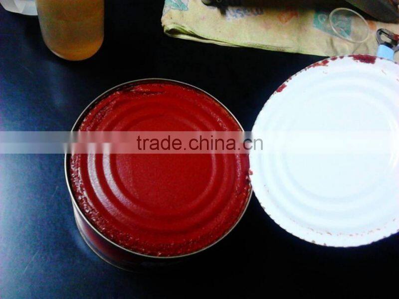 oem brand canned tin packing tomato fresh ketchup tomato paste sauce
