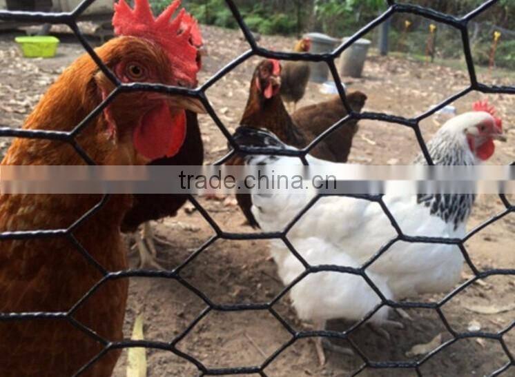 PVC coated hexagonal chicken wire mesh netting