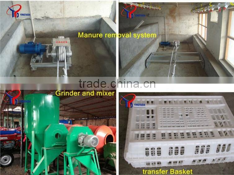 galvanized wire mesh antique hanging bird cages (ISO9001 factory)