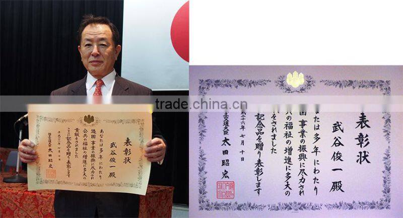 Cute and Unique plant pot Flower pot for For foliage OEM available