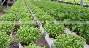 NFT Hydroponic Gully & Accessories