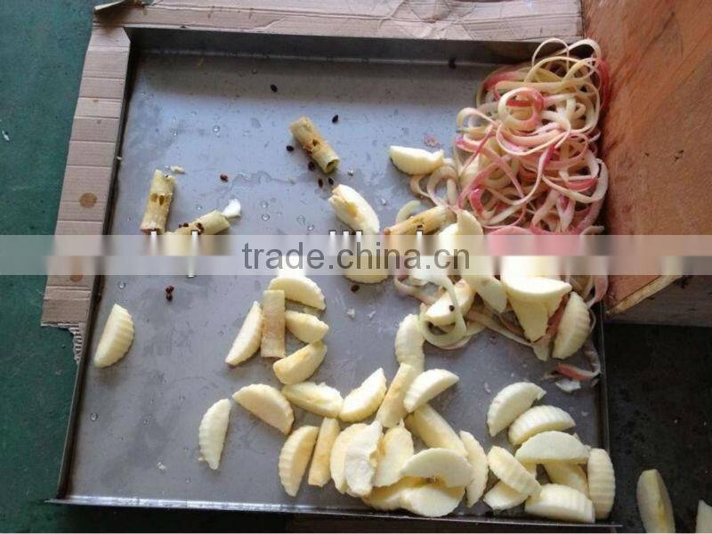 Small type Apple peeler corer and slicer machine for home use