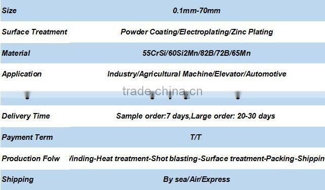 racing engines valve spring