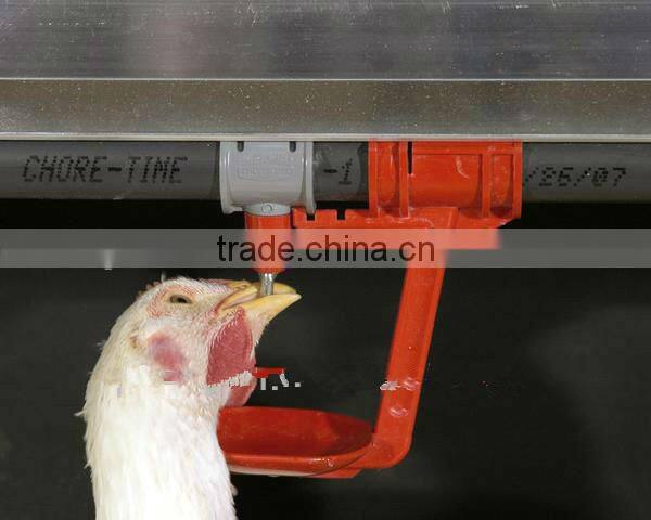 high quality galvanized welded wire chicken cage for poultry