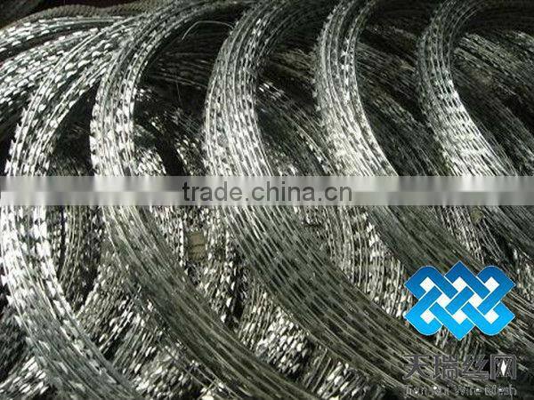 Galvanized Barbed Wire with 4 Points / razor barbed wire