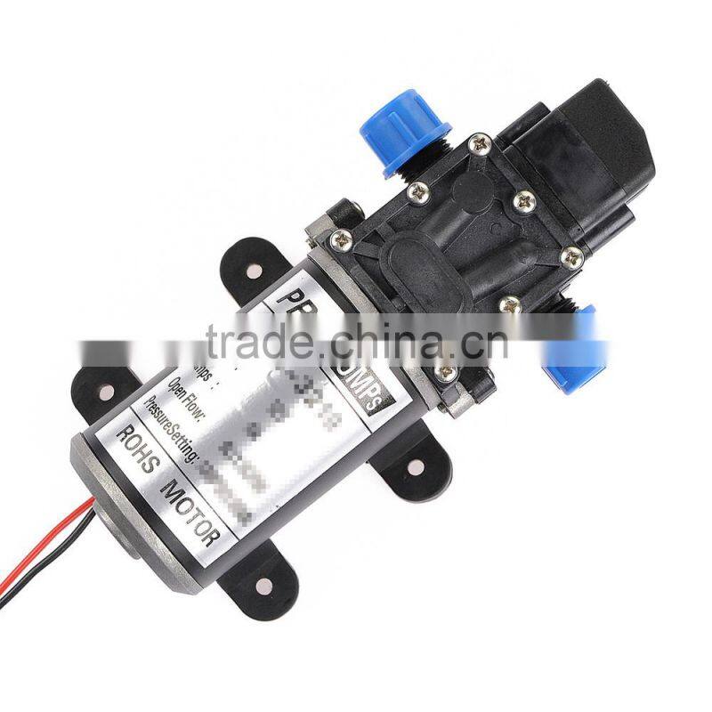 Hot Sale Car Wash Micro Diaphragm High Pressure Water Pump with Automatic Switch