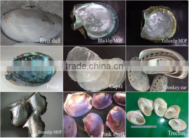 Wholesale chinese polished raw river shell