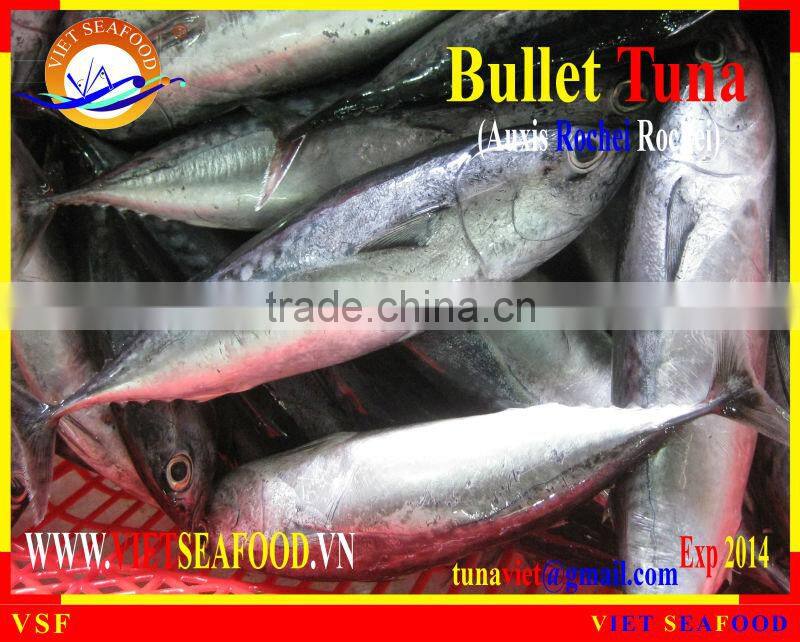 FROZEN W/R BULLET TUNA