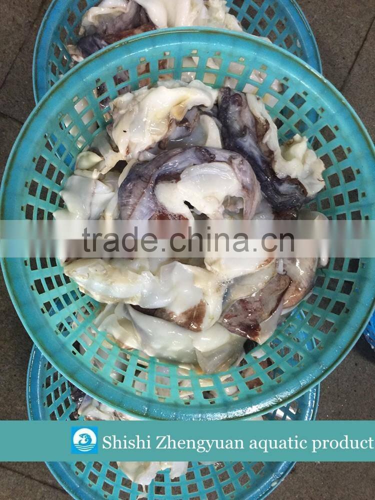 Frozen Giant Peru fillet squid neck Size 500+ on sale