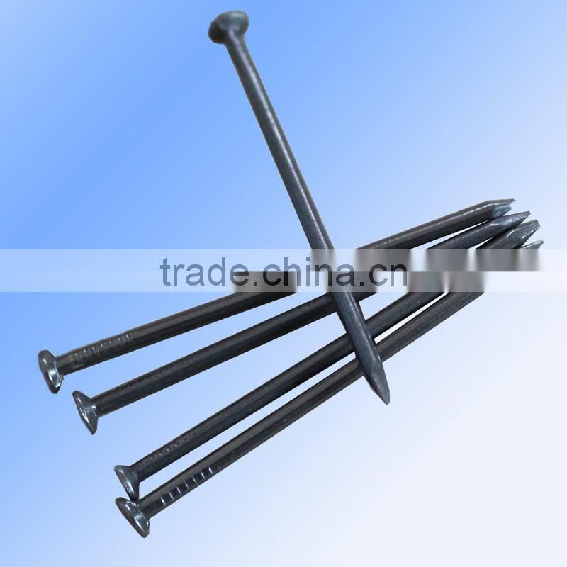 Polished Wire Nail From Guangzhou Supplier