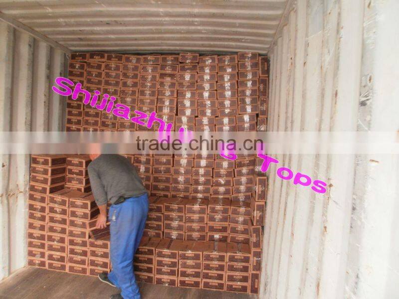 TOPS high quality common nails