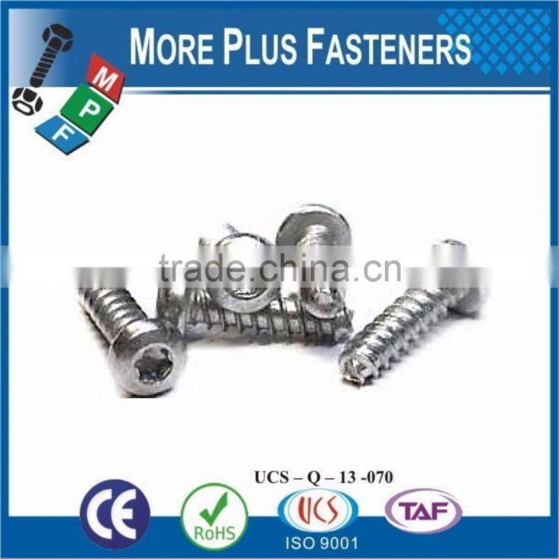 Made in Taiwan Plastite Thread Forming Screw
