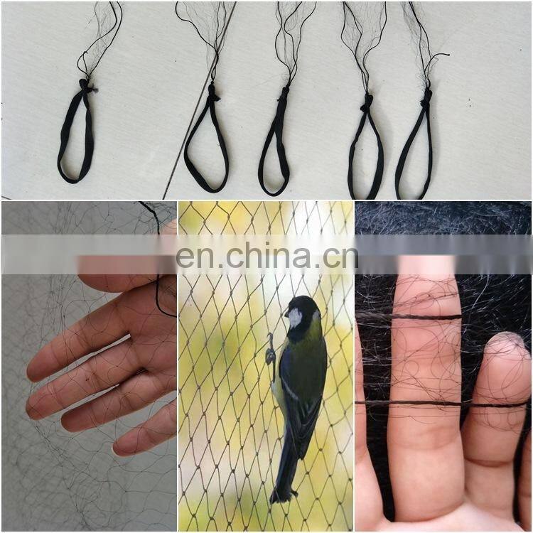HDPE/ Nylon 1/2 inch bird netting for chick coop