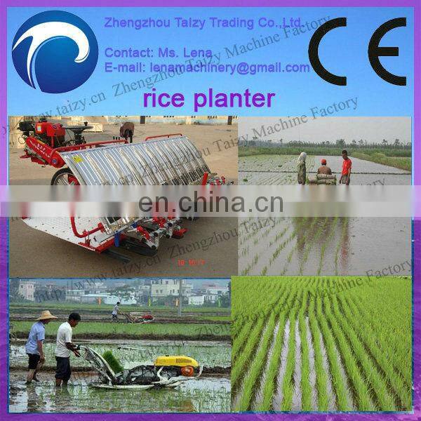 paddy sowing machine/paddy planting machine/rice sowing machine 0086-13837162172