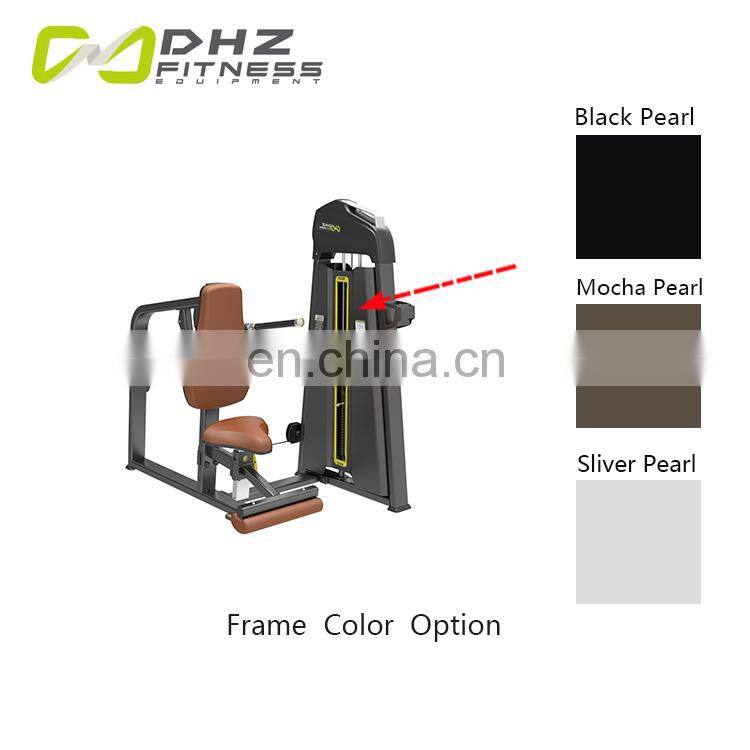 Dhz Fitness Equipment Body Shaping Plate Loaded Gym Machine Seated Dip
