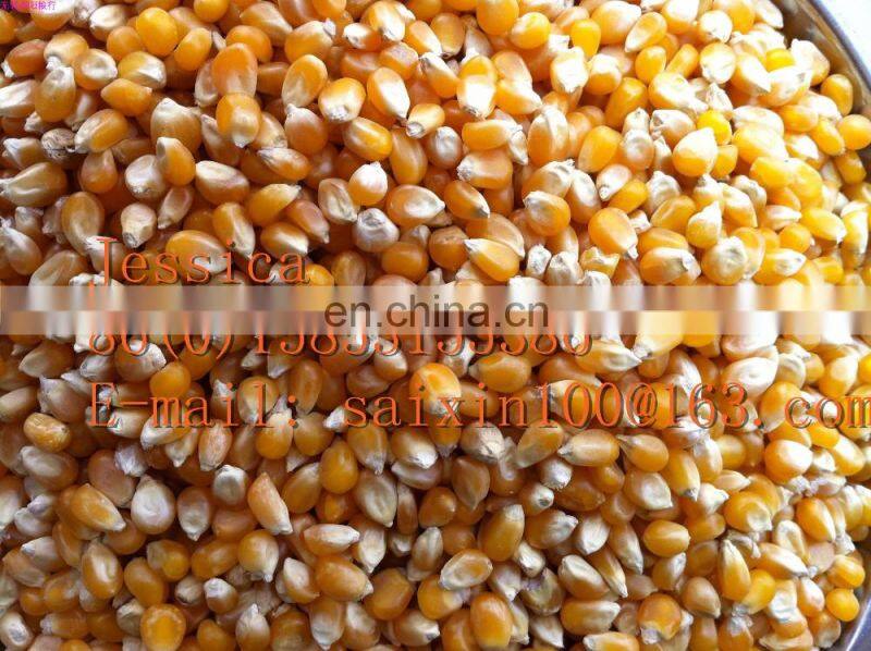 automatic american popcorn pop corn making machine