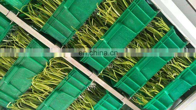 hydroponic  fodder machine  / farm fodder growing system for poultry livestock