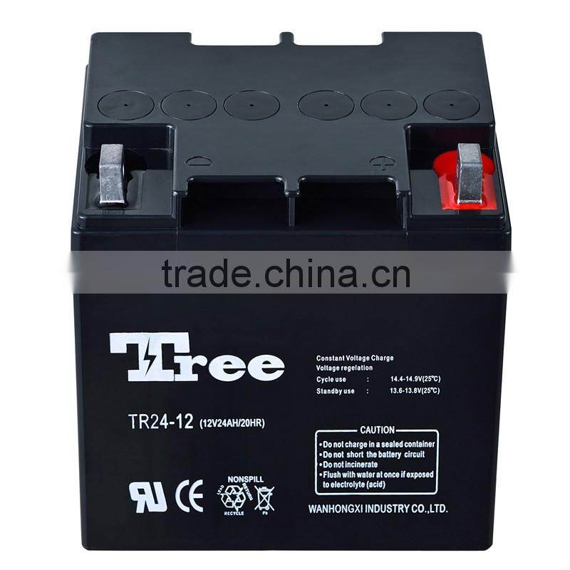 Maintenance free sealed lead acid battery 12v 24ah battery 24ah 38ah 55ah 65ah etc