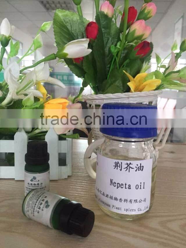 nepeta oil