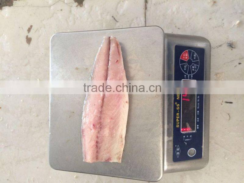 frozen scomber japonicus mackerel fillet