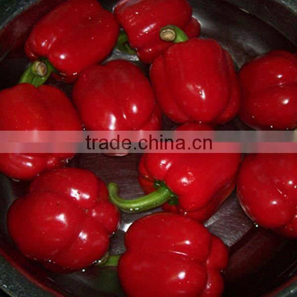 Iqf Sliced Diced Red Pepper