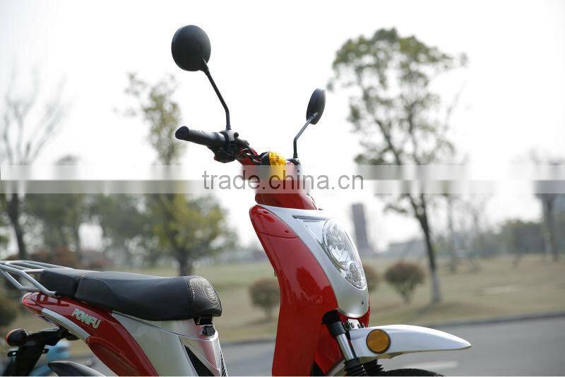 Haoling Seagull - electric bike motor mid drive, electric motor bike