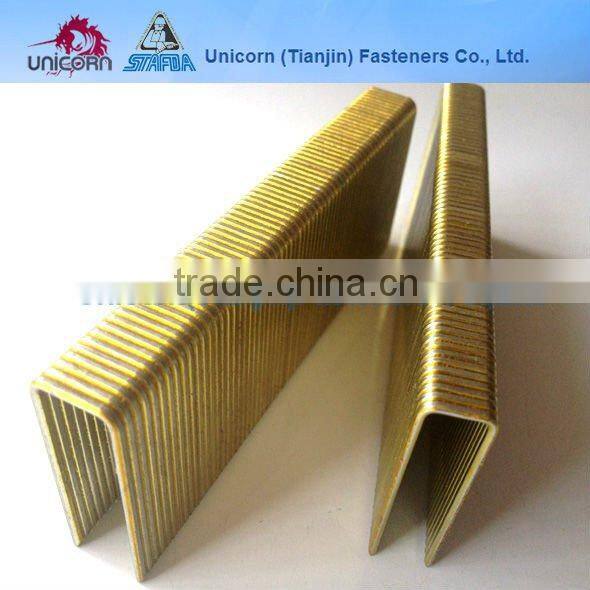 N21 2'' leg Galvanized Chisel point staples