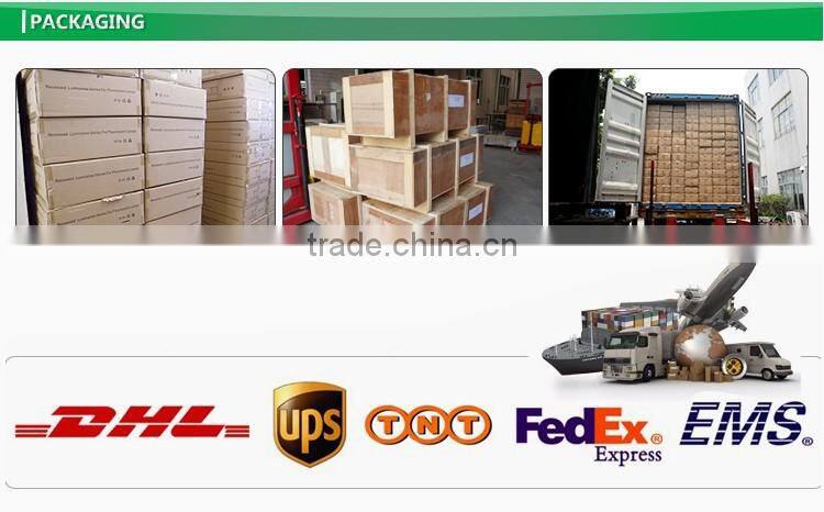 prismatic lighting fixture