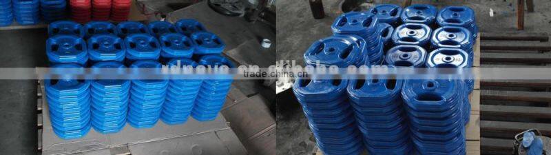 Two Handle Weight Plates