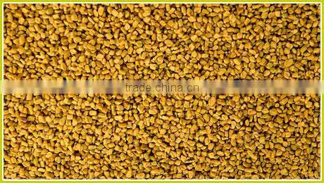 Fenugreek seeds
