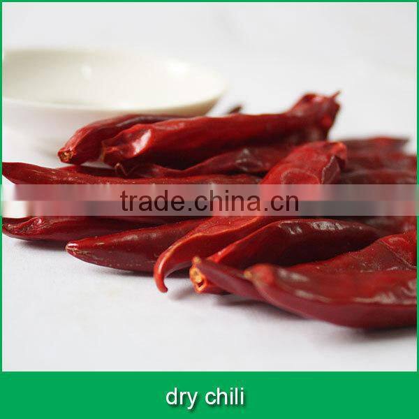 chilli pepper seed