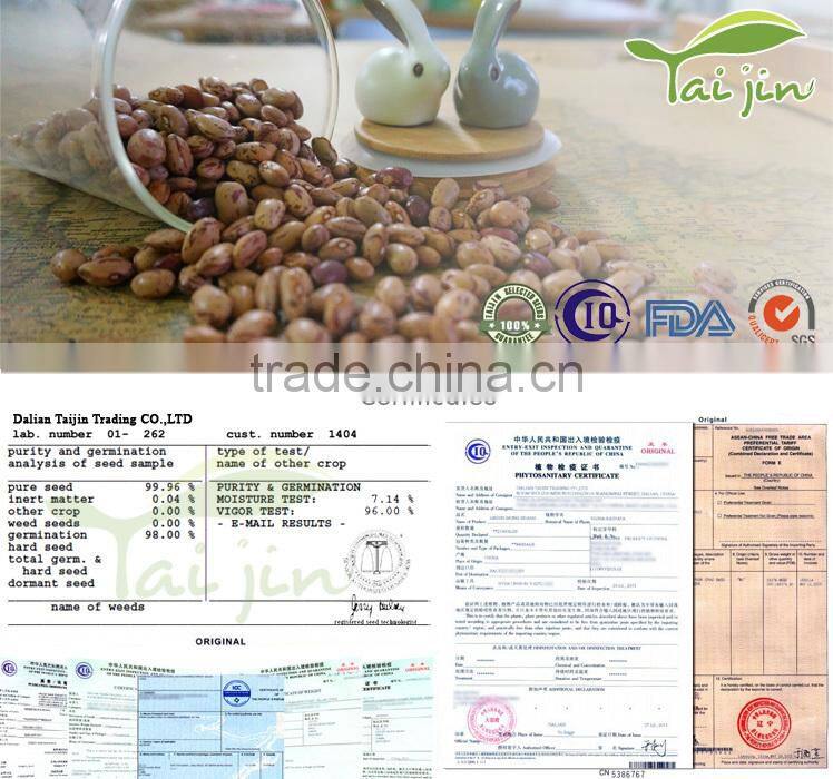 Edible Light Speckled Kidney Beans For Canning