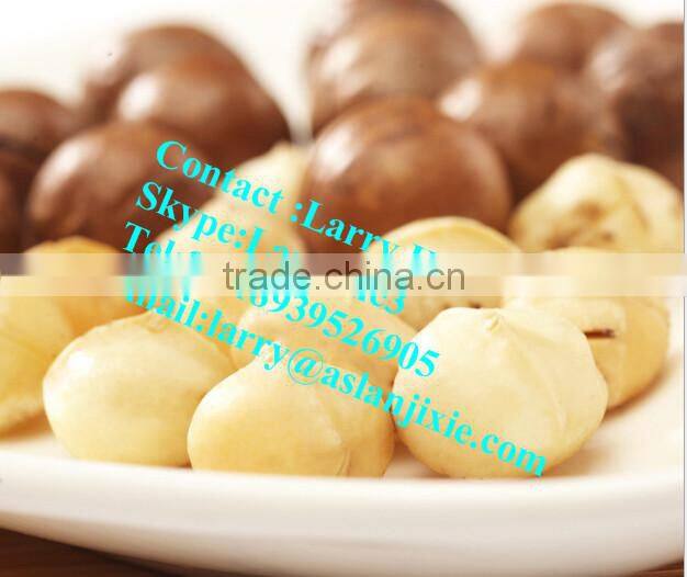 macadamia nut opening machine/macadamia nut tapping machine