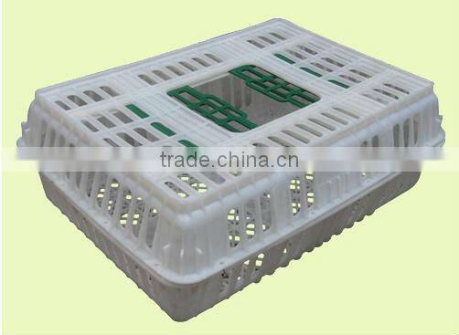 Poultry chicken transport crate for live/adult chicken