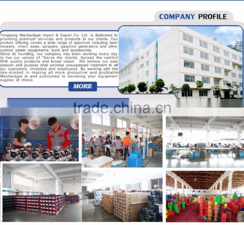 New Product Chinese carburetor Manufacturers 1E38F Chinese Chainsaw