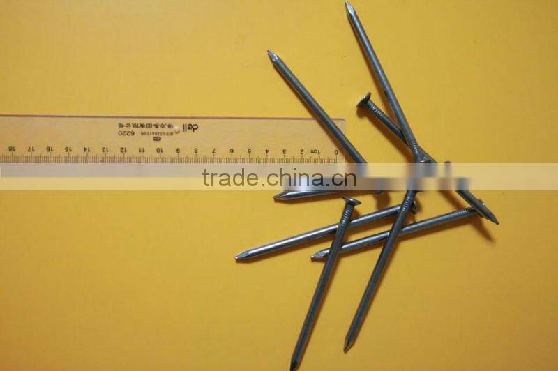 produce high quality galvanized smooth head nails(factory)