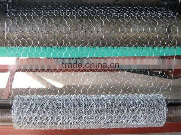 chicken wire netting/pvc coated chicken wire mesh/pvc coated and galvanized hexagonal wire mesh