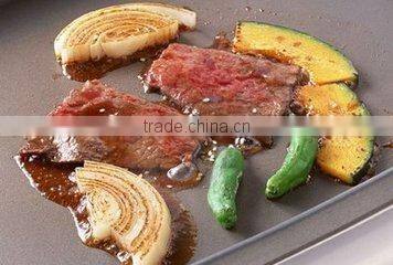 kitchen equipment gas hot plate griddle