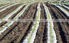 blow molding greenhouse film/mulch film