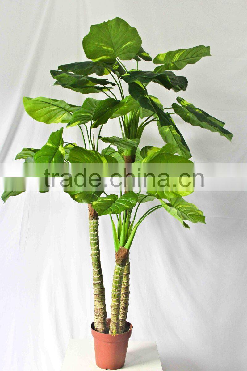 Wholesale indoor use bonsai