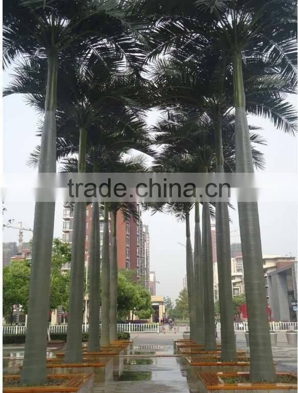 2015hot sale factory specialling best quality guarantee palm tree, artificial palm tree,outdoor/indoor