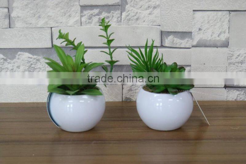 Plastic succulent plants producer and factory