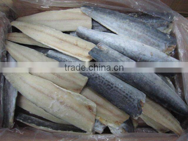 frozen spanish mackerel fillets